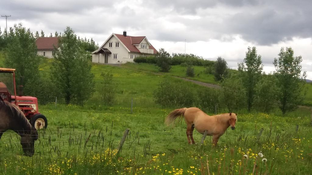 Birkikinn Holiday Home Eksteriør billede